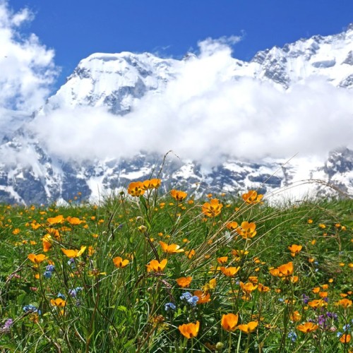 Перезагрузка в Безенги с проживанием в палатках: треккинг к ледникам, водопадам и диким турам