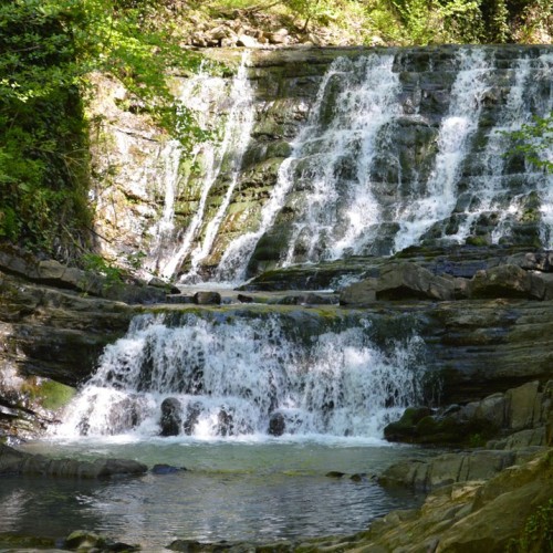 Лёгкий треккинг в субтропиках с проживанием в гостинице в Адлере