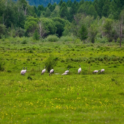 Тур по главным и редким местам Алтая на УАЗах: Чуйский тракт, горы, урочища, озёра и скалы