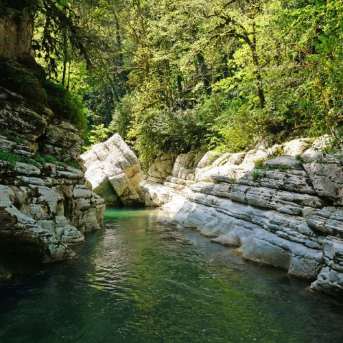 Лёгкий треккинг в субтропиках с проживанием в гостинице в Адлере