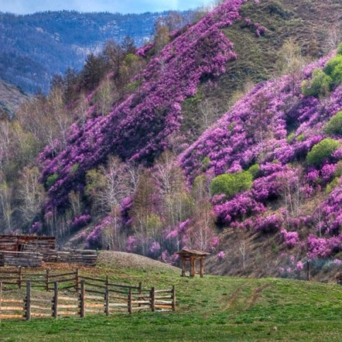 Ваше идеальное путешествие по Горному Алтаю: тур-конструктор