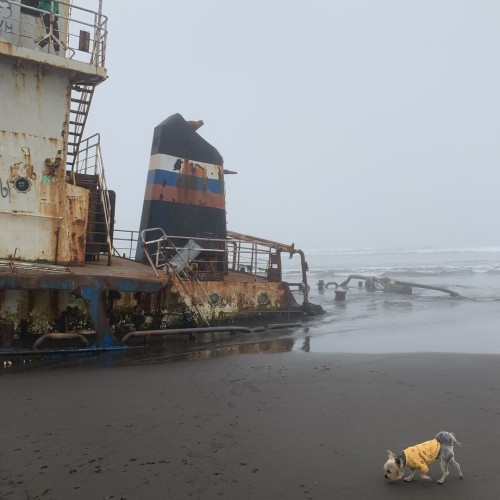 Вулканы, бухты и скалы острова Итуруп