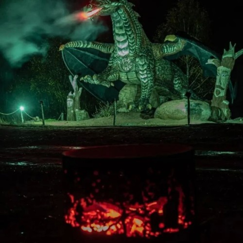 Конное путешествие в сердце Выборга — из Петербурга