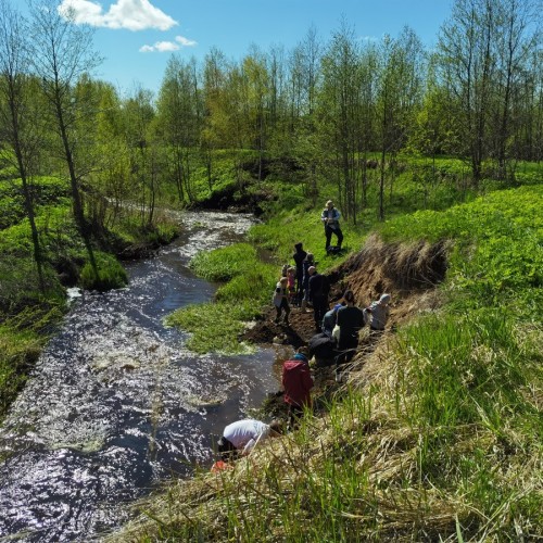 За окаменелостями музейного уровня в Ярославскую область с палеонтологом