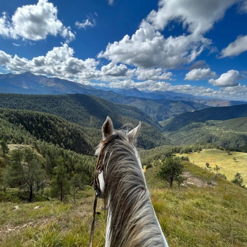 Наедине с Кавказом: вкусная перезагрузка в горах