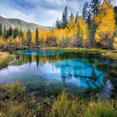 Алтайские места силы и древние петроглифы (в мини-группе)