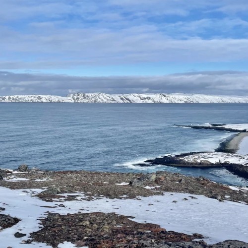 2 дня — 2 моря: к берегам Баренцева и Белого в мини-группе