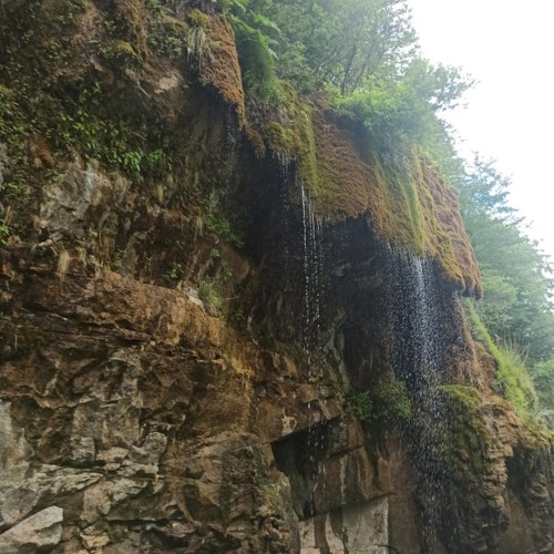 Индивидуально по Чечне и Дагестану: 2 республики за выходные