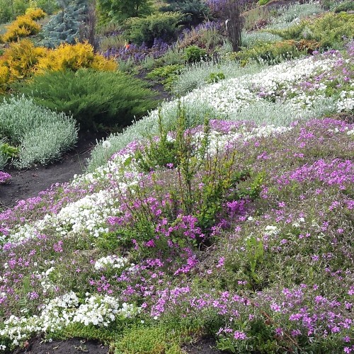Из Горно-Алтайска — в Манжерок, Чемал и Зачемалье