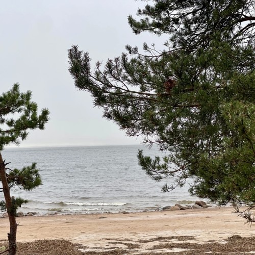 Приморский Парадиз — Сестрорецк, Репино, Комарово и Зеленогорск. Индивидуальная экскурсия