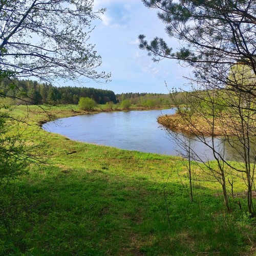 Сплав на байдарках по реке Осуге (всё включено)