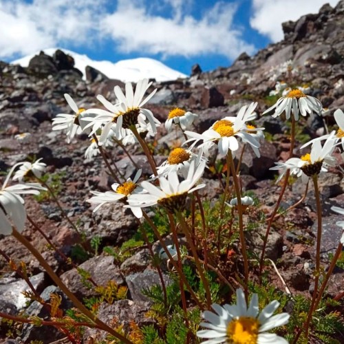 Высокогорный треккинг вокруг Эльбруса в Джилы-Су с проживанием в палатках