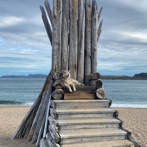 3 дня за полярным кругом: тур с проживанием в купольном отеле премиум-класса