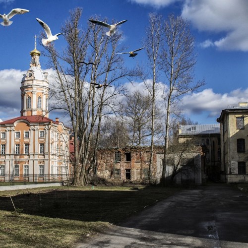 Эпидемии в Петербурге