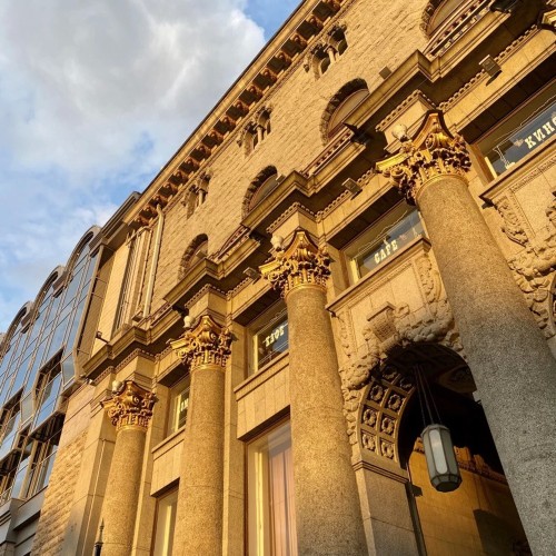 Детская интерактивная экскурсия «Петербургские зверята»