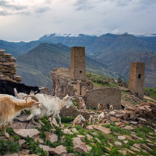 Перезагрузка по-дагестански: всё включено