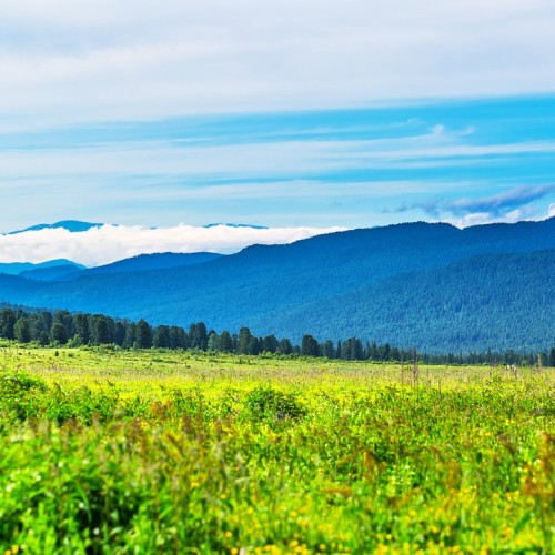 Насыщенная поездка в инопланетный край: сплав по Катуни, Телецкое озеро и долина Чулышман