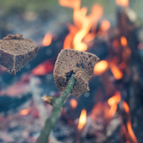 Дом у озера: отдых на берегу Ладоги и экскурсии