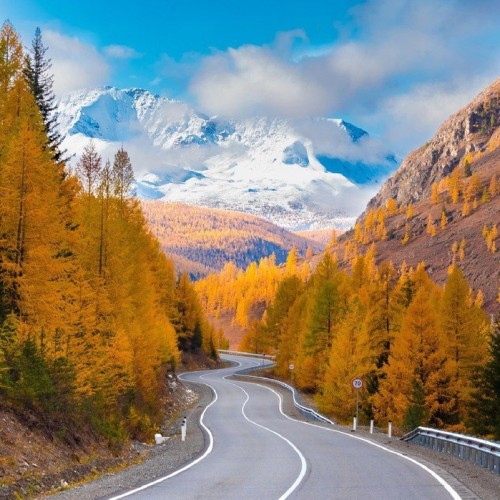 Автопутешествие по Горному Алтаю: Уймонская долина, Белуха и «каменные бабы» (мини-группа)