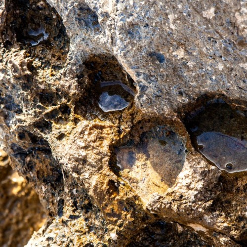 Из Санкт-Петербурга в Карелию: «Рускеала», остров Валаам, добыча минералов и прогулка на сапах