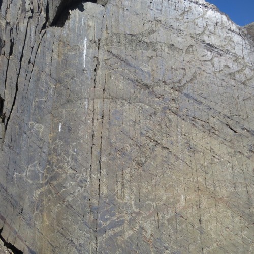 Тур по главным и редким местам Алтая на УАЗах: Чуйский тракт, горы, урочища, озёра и скалы