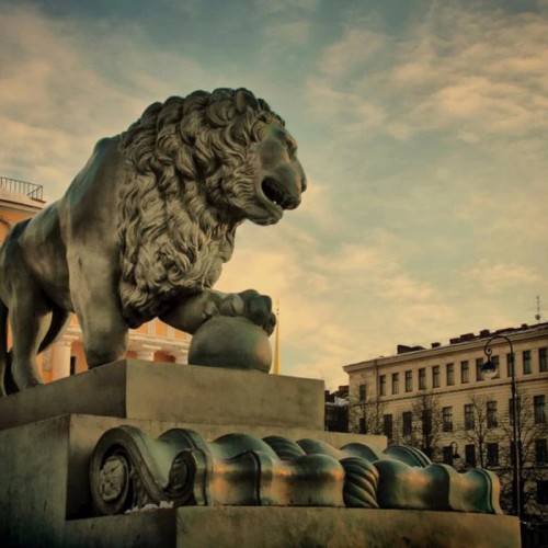 Львы Петербурга: новые приключения итальянцев в России