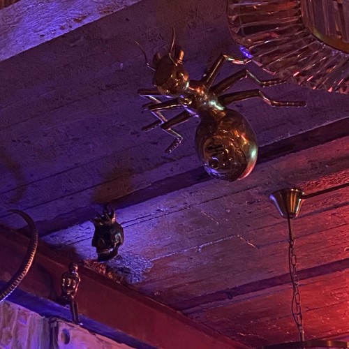 По секретным барам — на премиальном авто с панорамной крышей