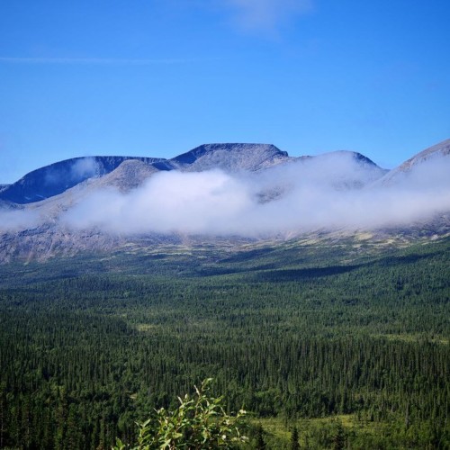 Треккинг в Хибинах без рюкзаков: экспресс-перезагрузка