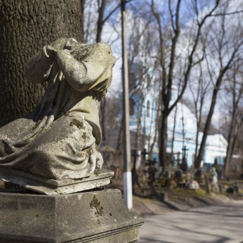 Такой разный Васильевский остров: на авто премиум-класса