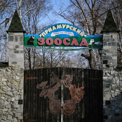 «Зелёный» Хабаровск