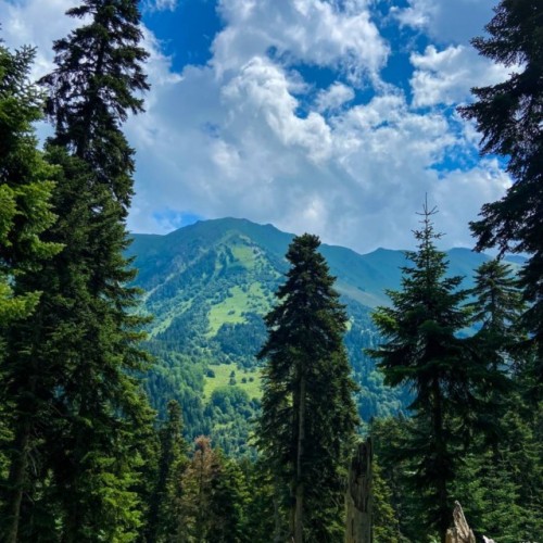 Комфортный треккинг в Архызе с проживанием в уютной гостинице