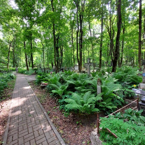 Святыни и чудеса Смоленского кладбища