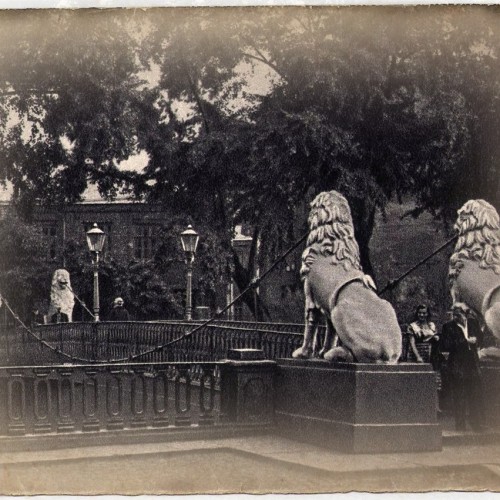 Фантастические твари и где они обитают в Санкт-Петербурге