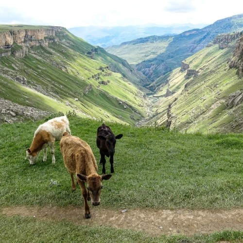 Аулы, горы, каньоны: автотур по Дагестану. Всё включено