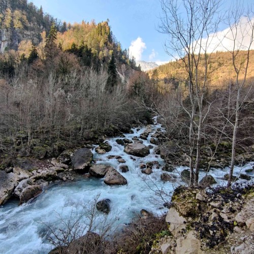 Индивидуальное экспресс-путешествие по Сочи и Абхазии