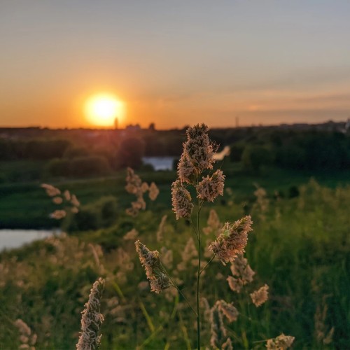 А не позолотить ли нам чайку: авторская экскурсия по Серпухову в лучших купеческих традициях