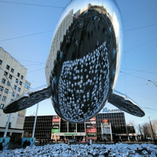 Арктический экспресс на внедорожнике: Мурманск, Кола и Териберка только для вашей компании