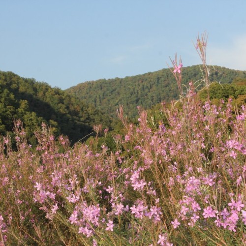 Перезагрузка в горах и на море в мини-группе