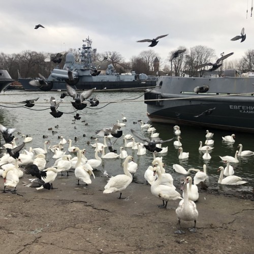 Балтийск, Янтарный, Светлогорск: такая разная Балтика