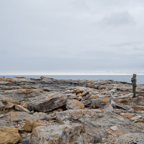 На выходные на Кольский: путешествие на полуострова Рыбачий и Средний с проживанием в кемпинге