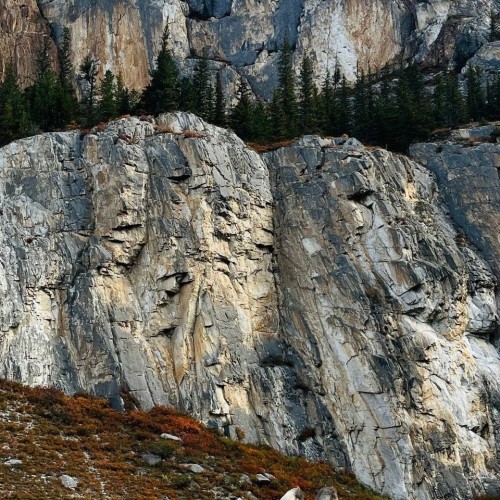 Лиловый наряд Алтая: путешествие по знаковым локациям и цветение маральника