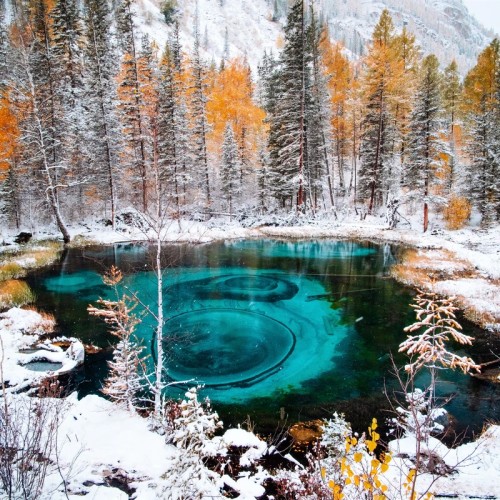 Два дня с инопланетным Алтаем: Чуйский тракт, Гейзеровое озеро и марсианские горы