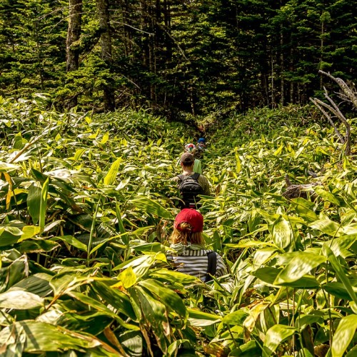 Почувствуй край земли: магия дальних островов Кунашир и Шикотан в мини-группе
