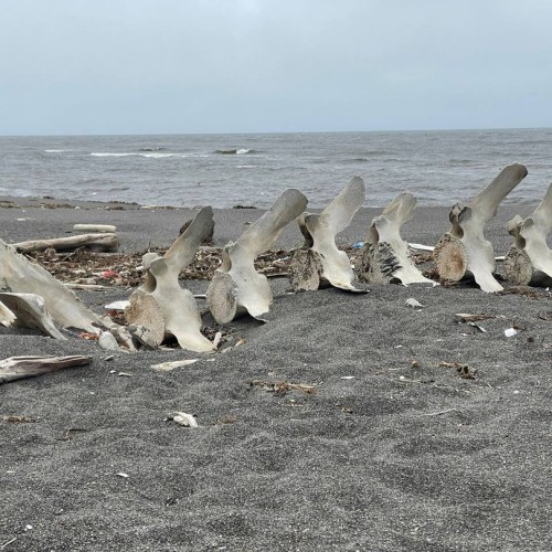 Увидеть душу Камчатки: джип-тур по неизведанным местам с круизом по Курильскому озеру (всё включено)