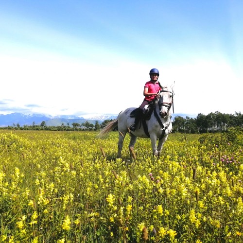 На лошадях к Корякскому вулкану с палатками. Всё включено