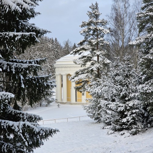 Романтический Павловск: по дворцу и парку с персональным гидом