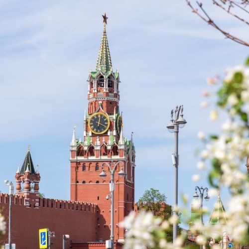 Родные просторы вблизи златоглавой: древние города, мастер-классы, застолья и отдых на пасеке