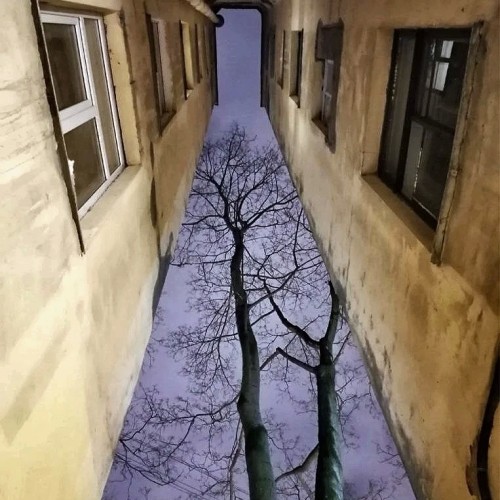 Тихой стороной Петроградки: авторская прогулка из эпохи в эпоху