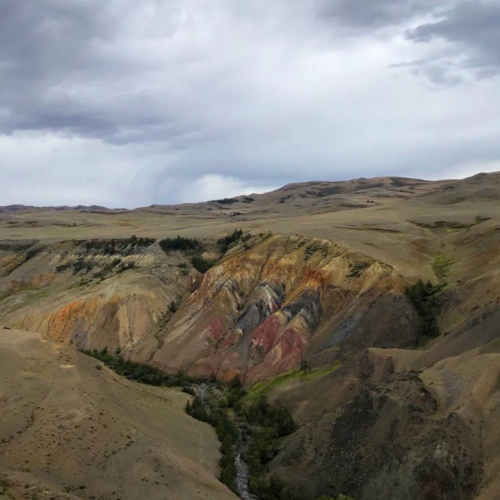 Возрождающая сила Алтая: ретрит-тур в женской компании