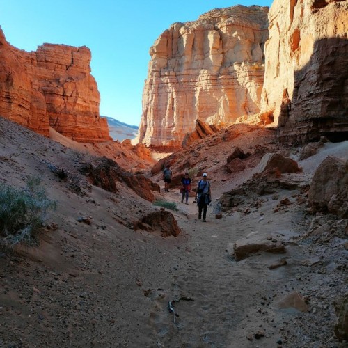 От пустыни до оазисов: большое путешествие по Монголии и Улан-Удэ